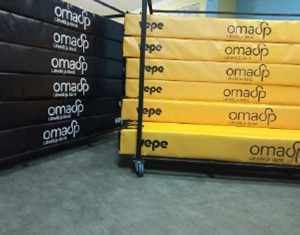 Kuljetusvaunu, Vepe-Icepro