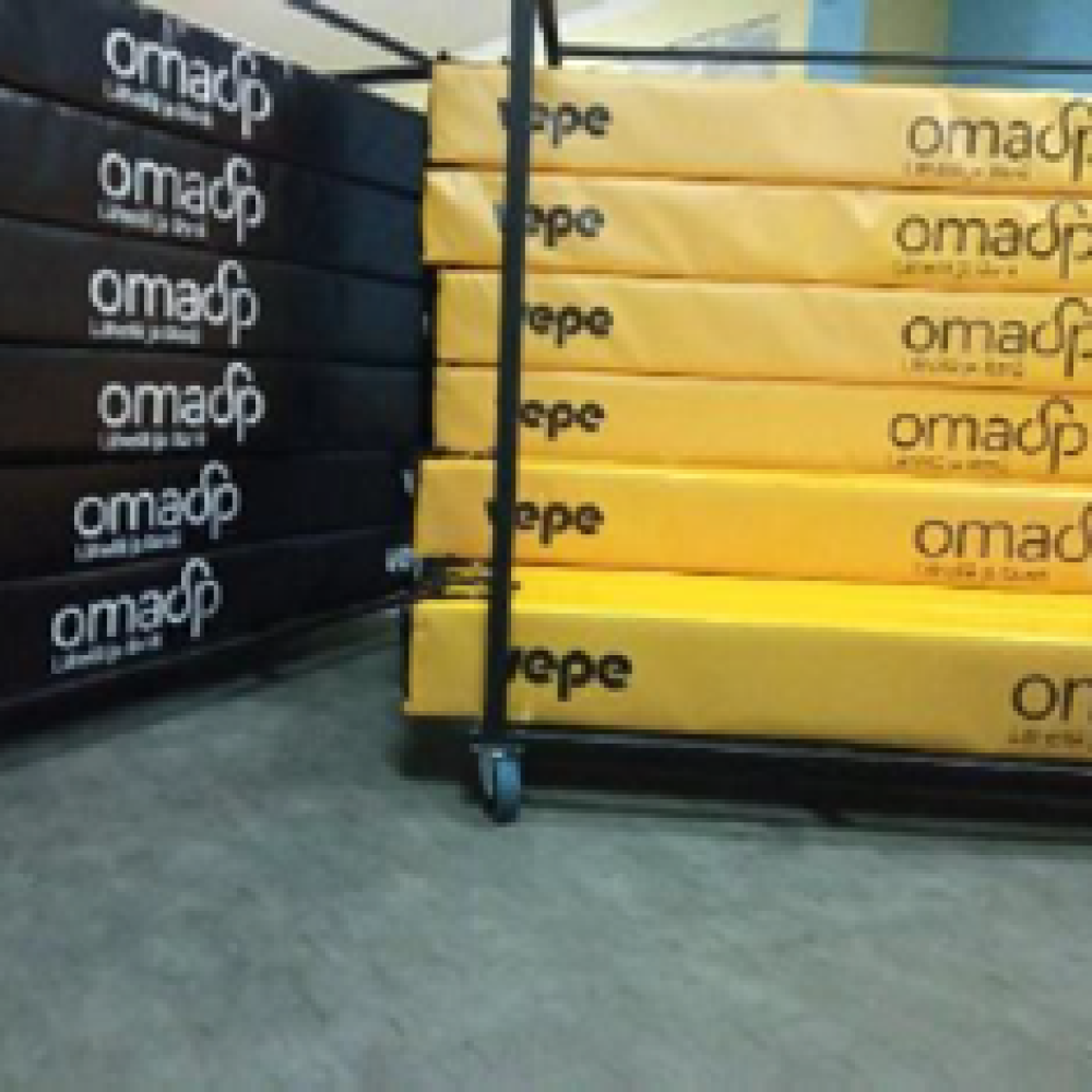 Kuljetusvaunu, Vepe-Icepro